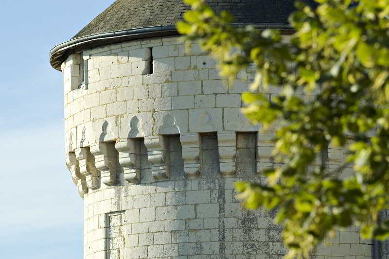 Chateau De Marcay Eksteriør billede