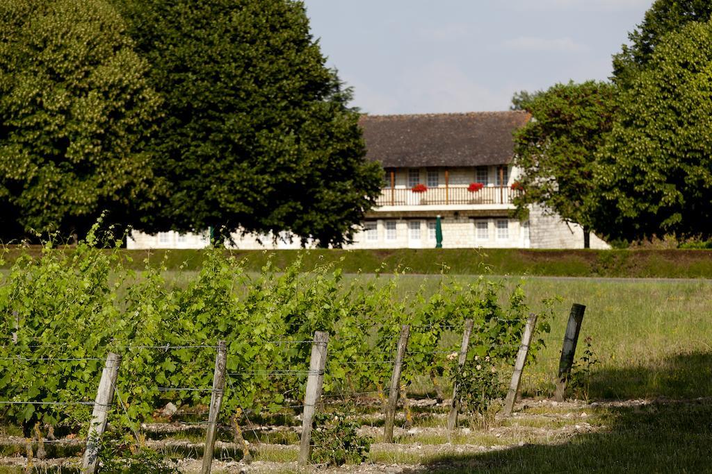 Chateau De Marcay Eksteriør billede